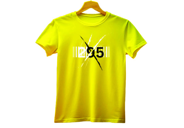 295-T-SHIRT ( IN 5 COLOUR)